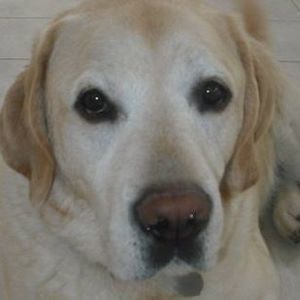 Meet your Posher, Joanne